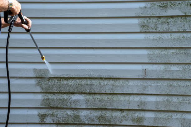 Best Shed Removal  in Holdenville, OK